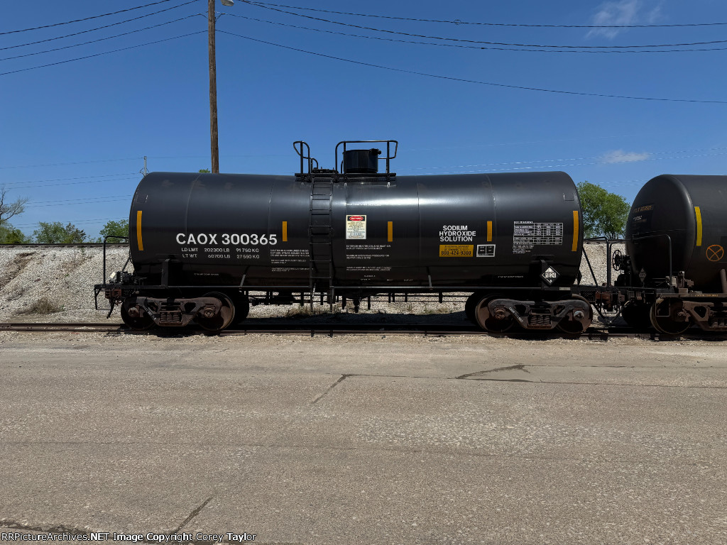 CAOX 300365